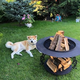 Mayon Fire Pit - Görsel 7