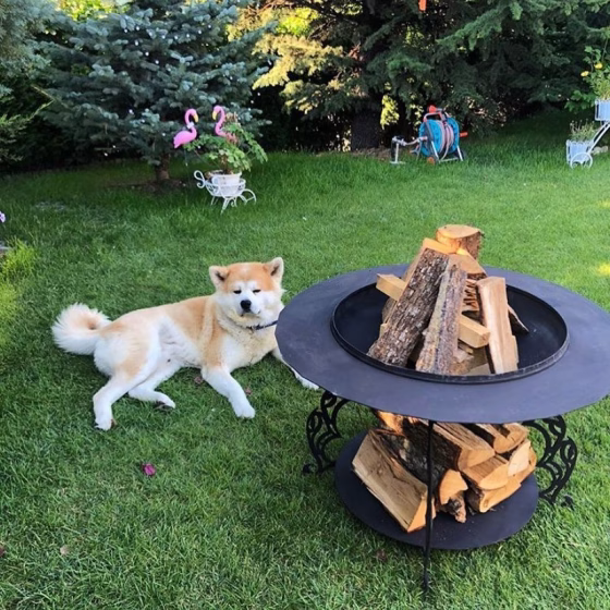 Fumolio Mayon fire pit with customizable branding – luxury outdoor fireplace for BBQ and patio use